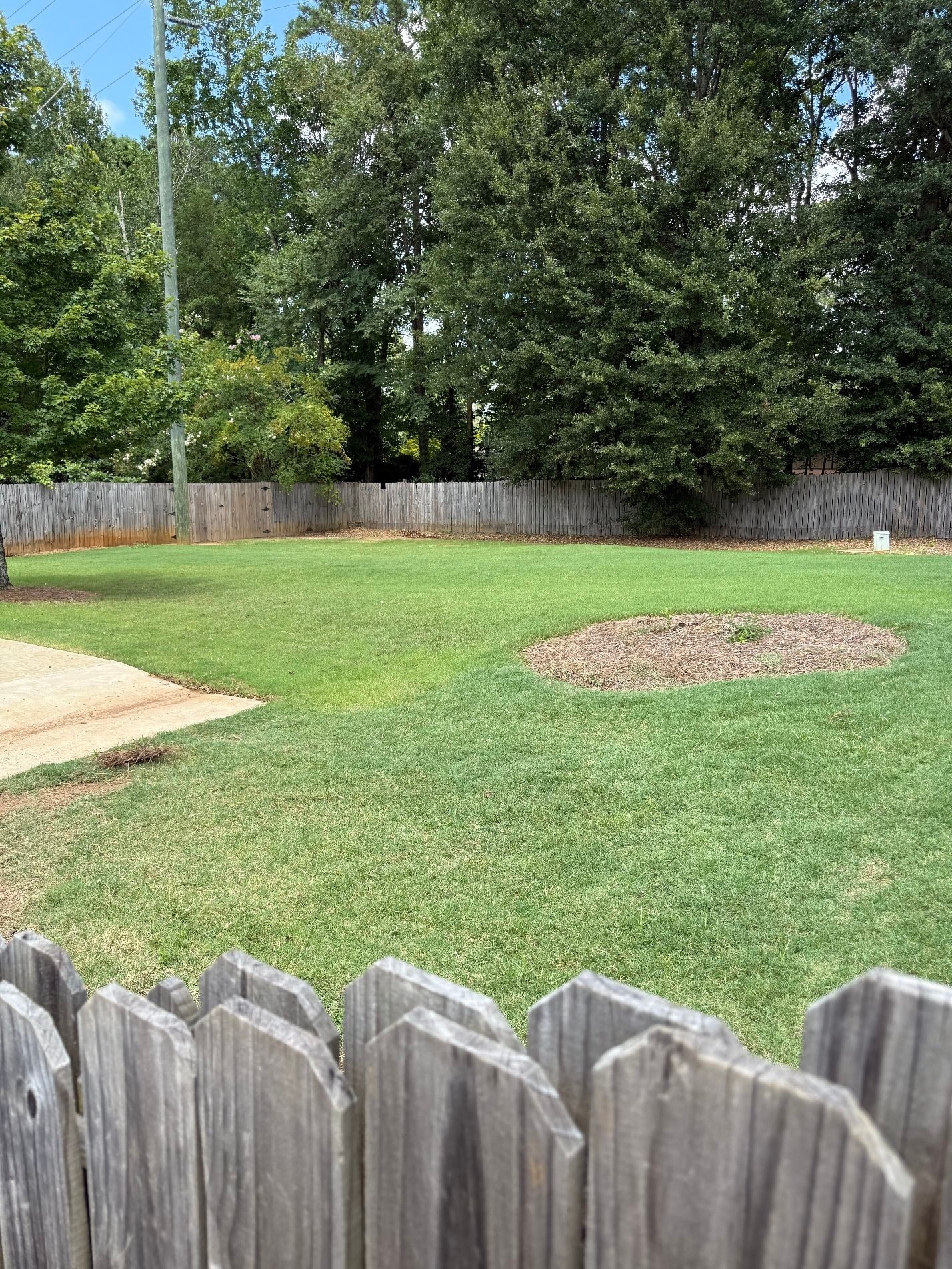 Junk-N-All work example